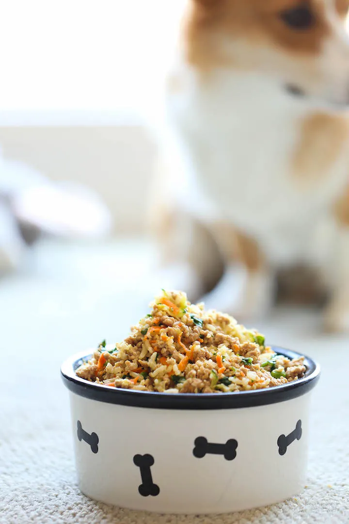 Homemade dog food cooling before freezer meal prep and storage