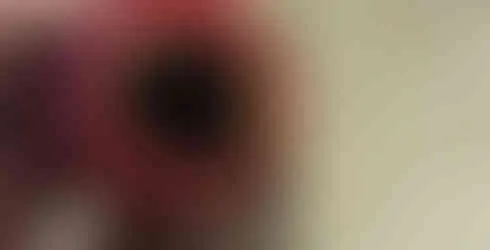 Image of a stuffed Kong toy