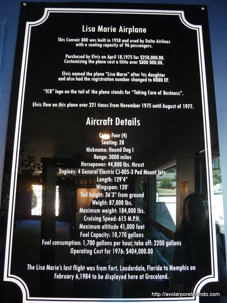 Interior details of the Lisa Marie jet, highlighting its unique features.