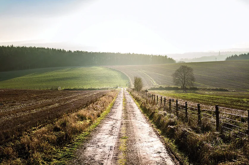 Muddy road