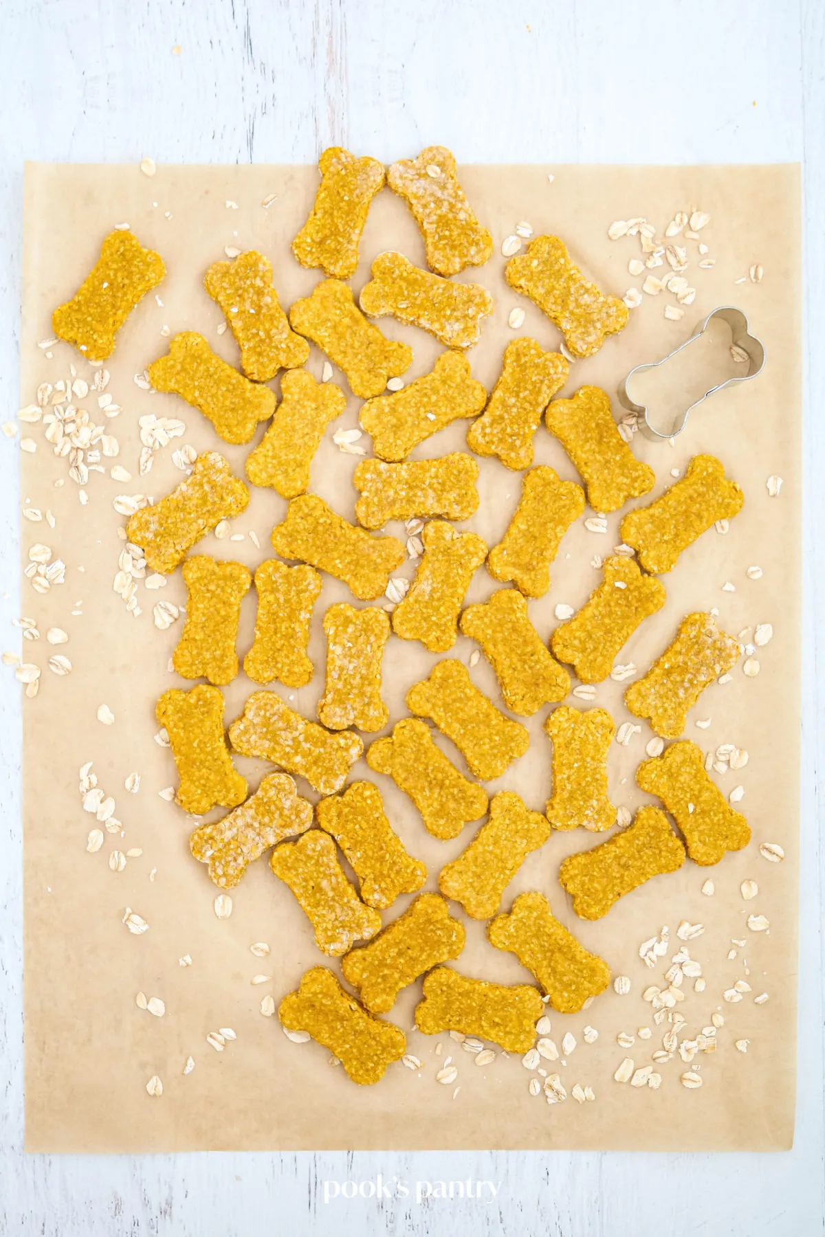 Oatmeal pumpkin dog treats on parchment paper with a cookie cutter.