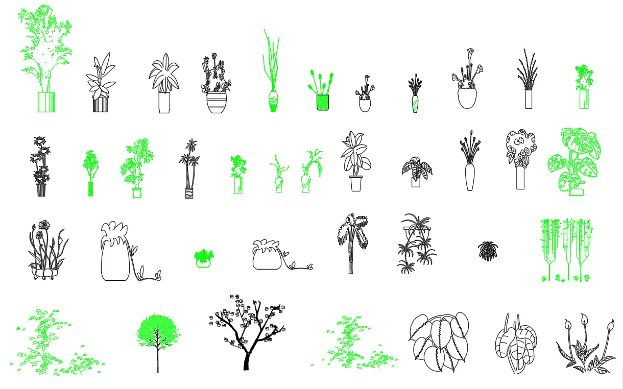 Ornamental plants