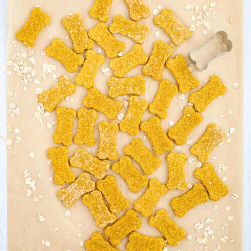 Pumpkin oatmeal dog treats on parchment paper.