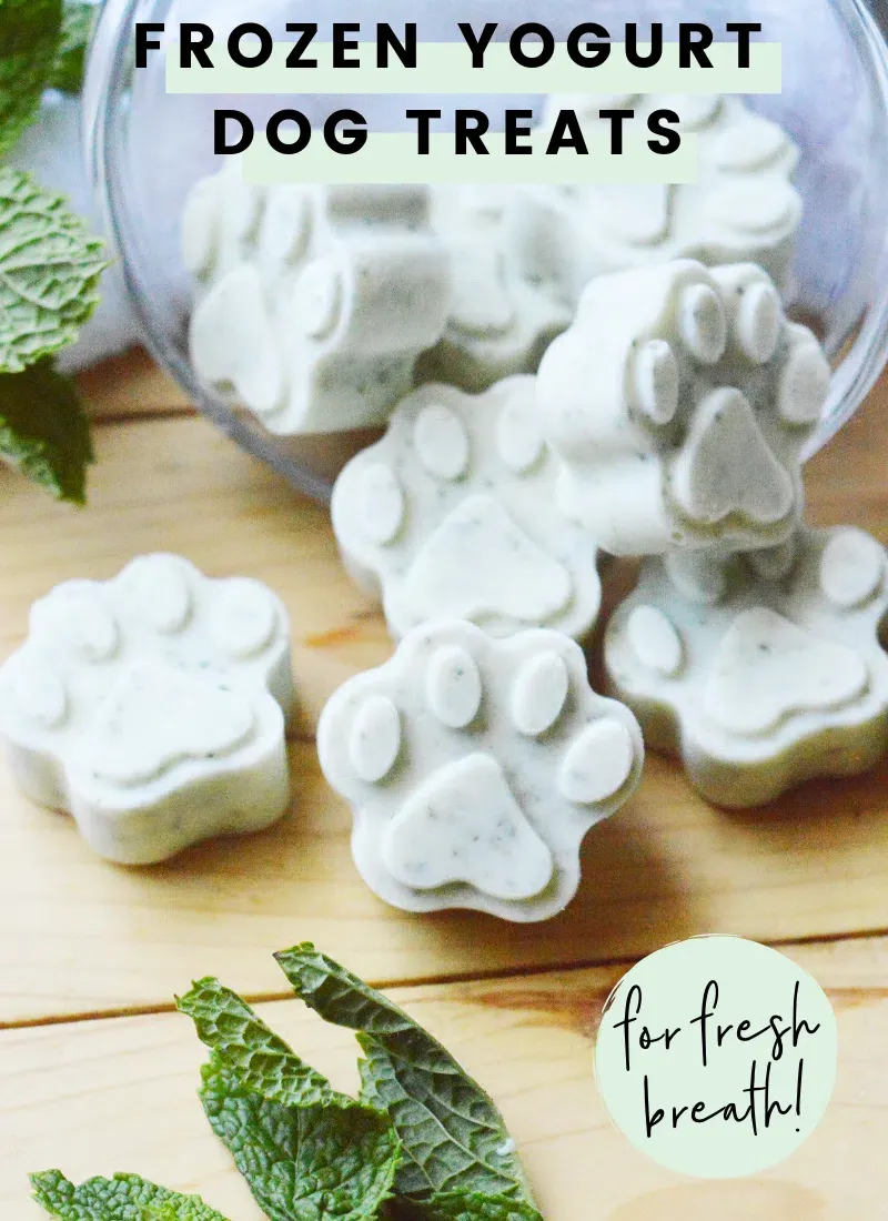 Pupsicles for a sweet summer dog treat