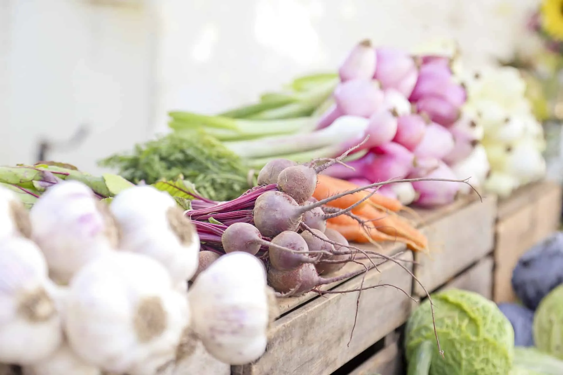 Shopping at the Farmer