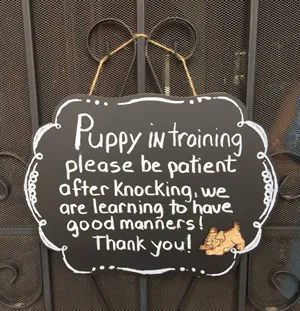 Sign indicating a training setup for a puppy.