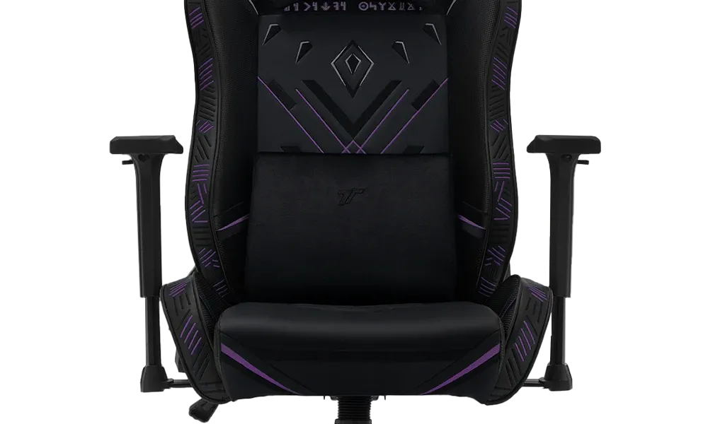 The Black Panther edition detailing.