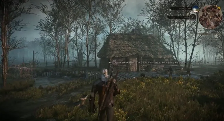 The Witcher 3: Wild Hunt