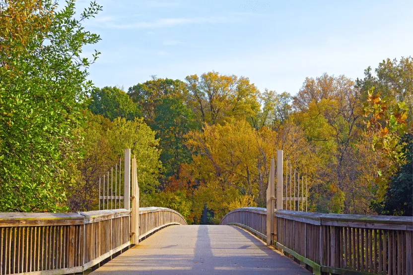Theodore Roosevelt Island Trail, Washington, DC