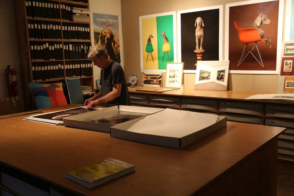 Wegman's home and studio are filled with hundreds of his dog prints.
