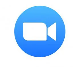 Zoom Icon