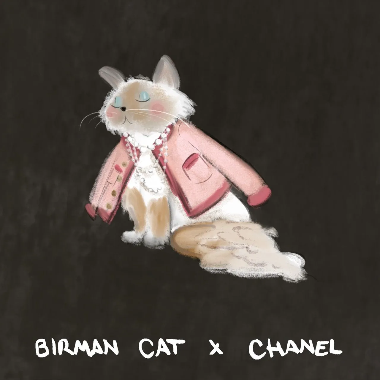 A Birman cat in a pink Chanel jacket layered with pearls.