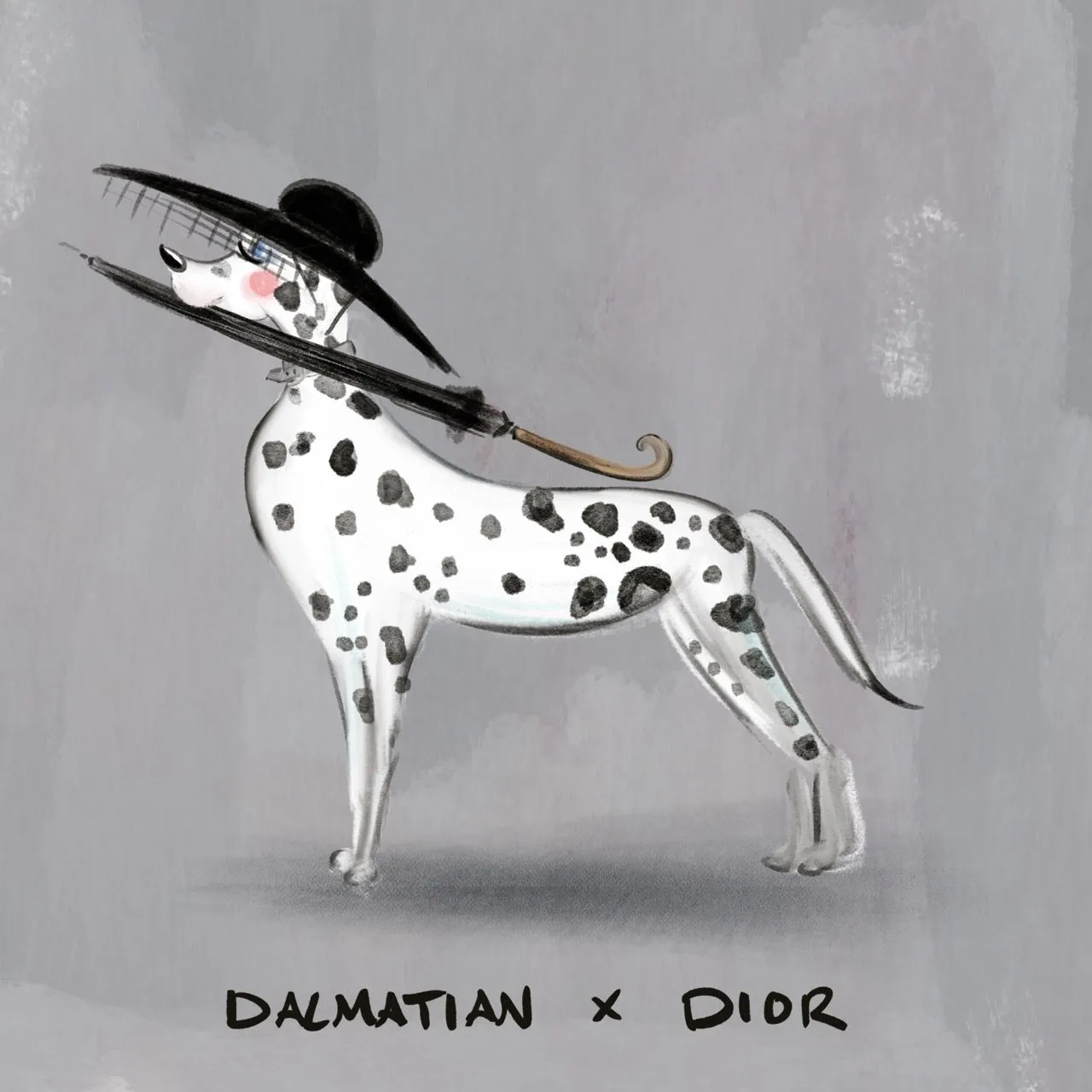 A Dalmatian posing in a dramatic Dior hat with a veil and a black umbrella.