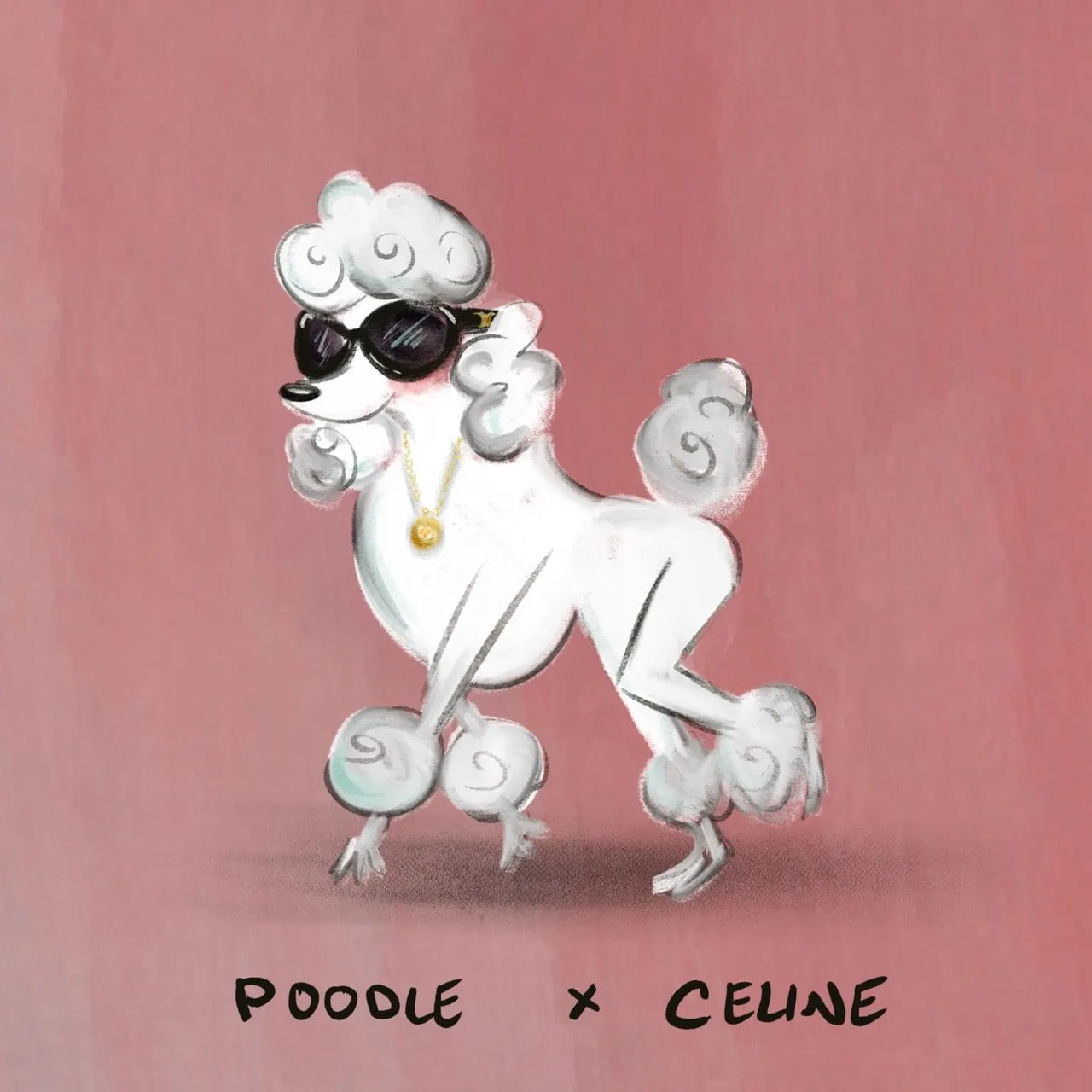 A Poodle strutting in oversized Celine sunglasses and a gold medallion necklace.