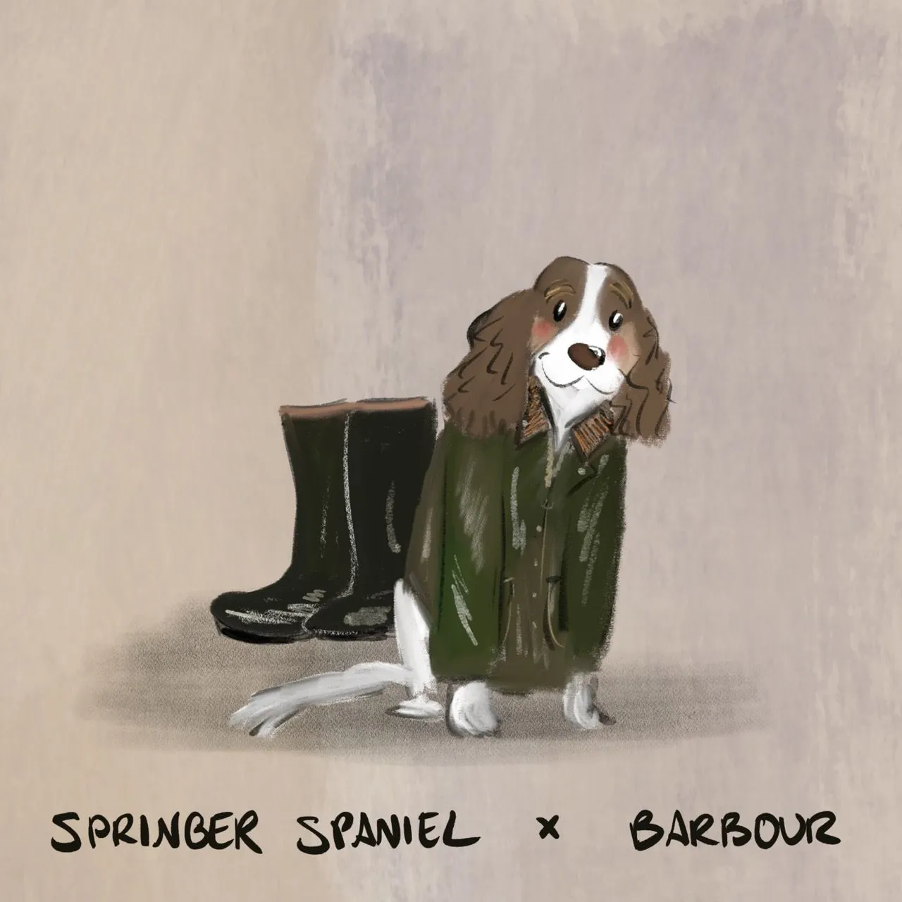 A Springer Spaniel wrapped in an oversized green Barbour jacket beside wellington boots.