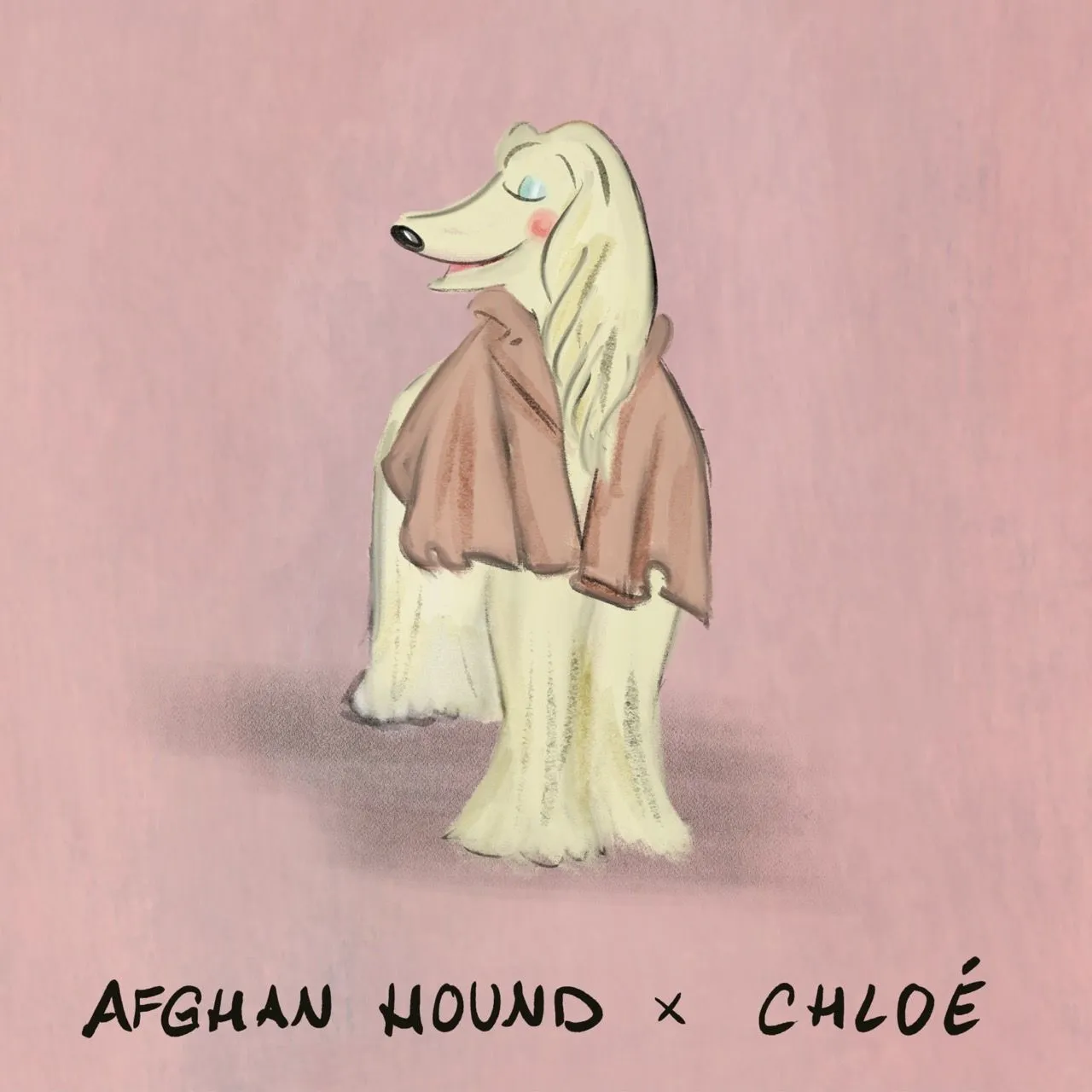 An Afghan hound styled in a slouchy blush Chloé coat.