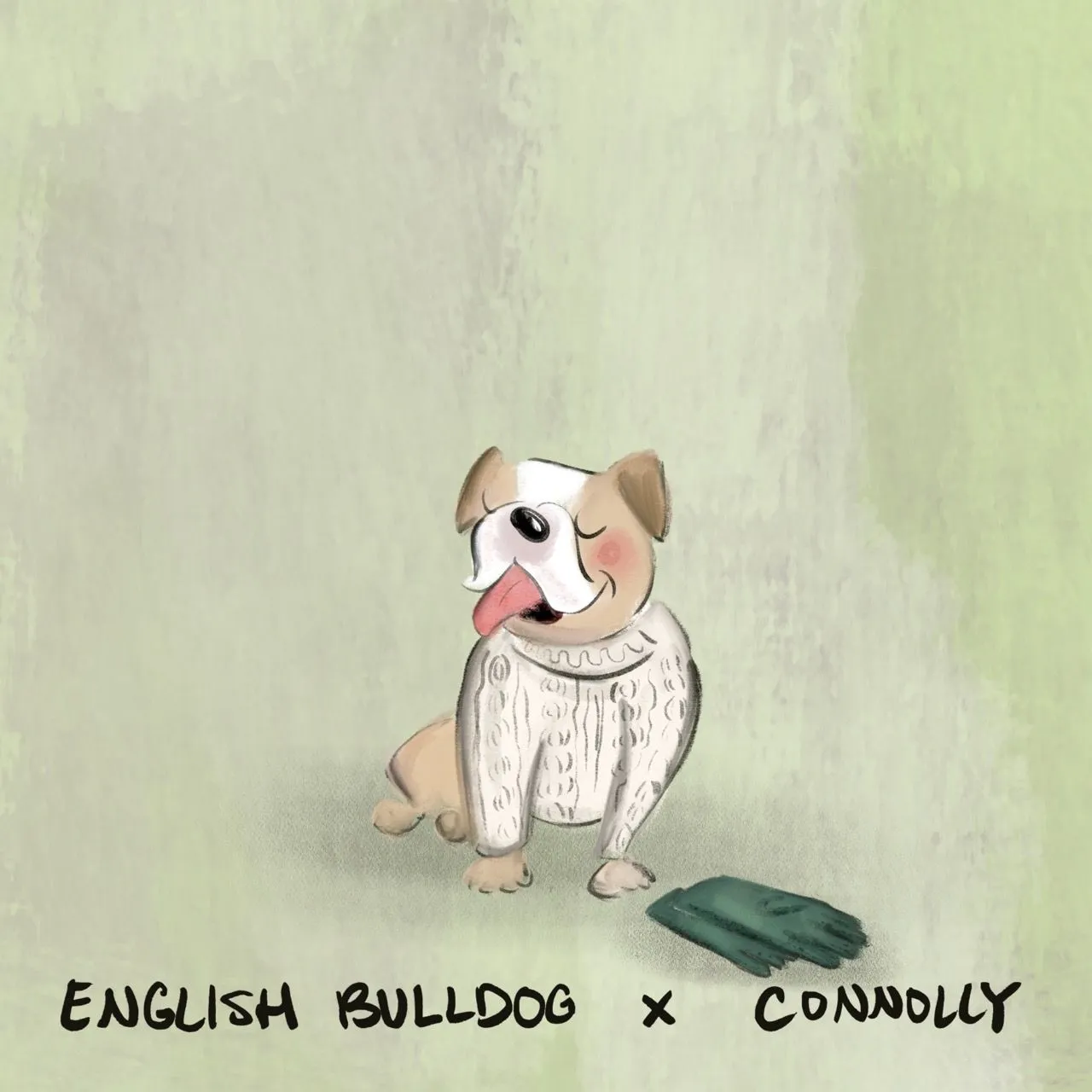 An English bulldog in a chunky cream Connolly jumper with green gloves.