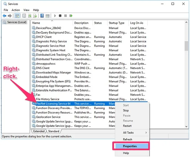FlexNet Licensing Service 64 properties window showing Automatic startup type selected