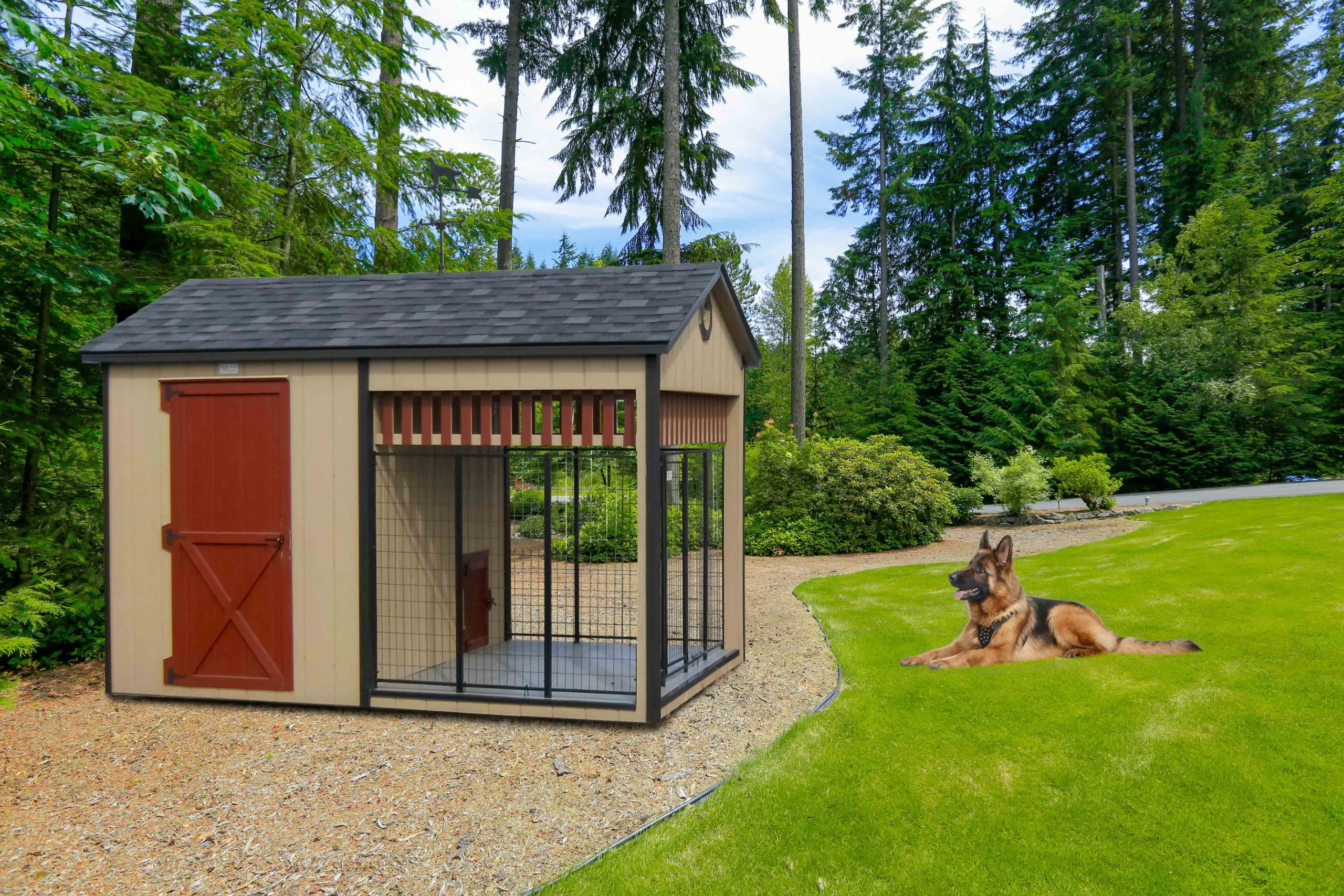 A premium 10x10 dog kennel with reinforced screening and weather-resistant roofing materials