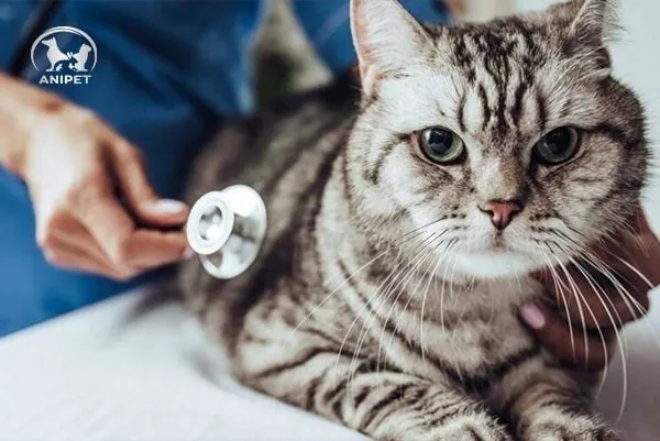 Veterinary team performing emergency surgery on a dog in a modern operating room