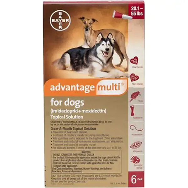 A veterinarian's gloved hand applying a topical solution to a dog's back
