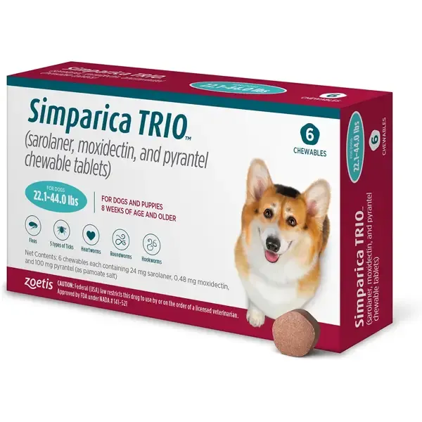 A dog eagerly eating a flavored chewable tablet from its owner's hand