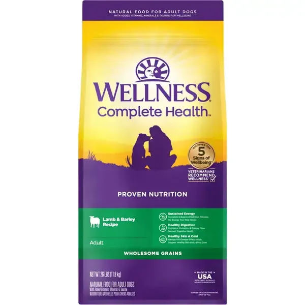 Close-up of high-protein dry dog food kibble designed for small breed dogs
