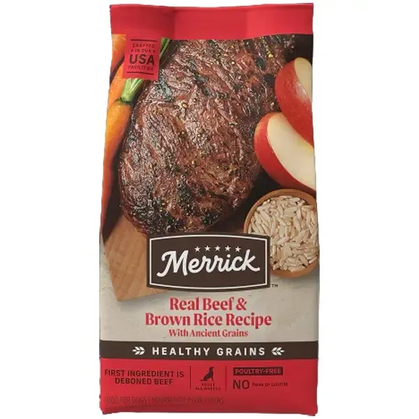 Balanced dry dog food kibble with vegetables and grains for sensitive stomachs