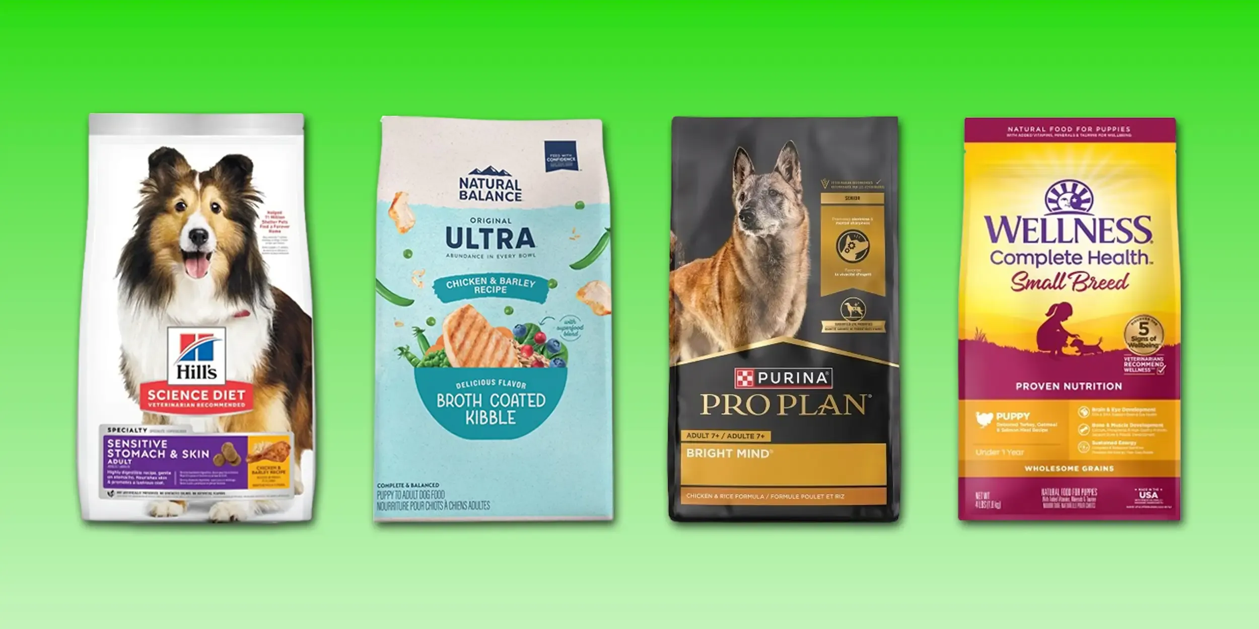 Assortment of premium dry dog food bags from Wellness, Merrick, and other leading brands