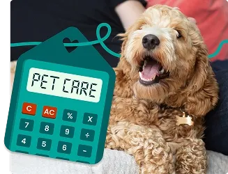 Calculate your potential savings with pet sitting compared to traditional boarding options