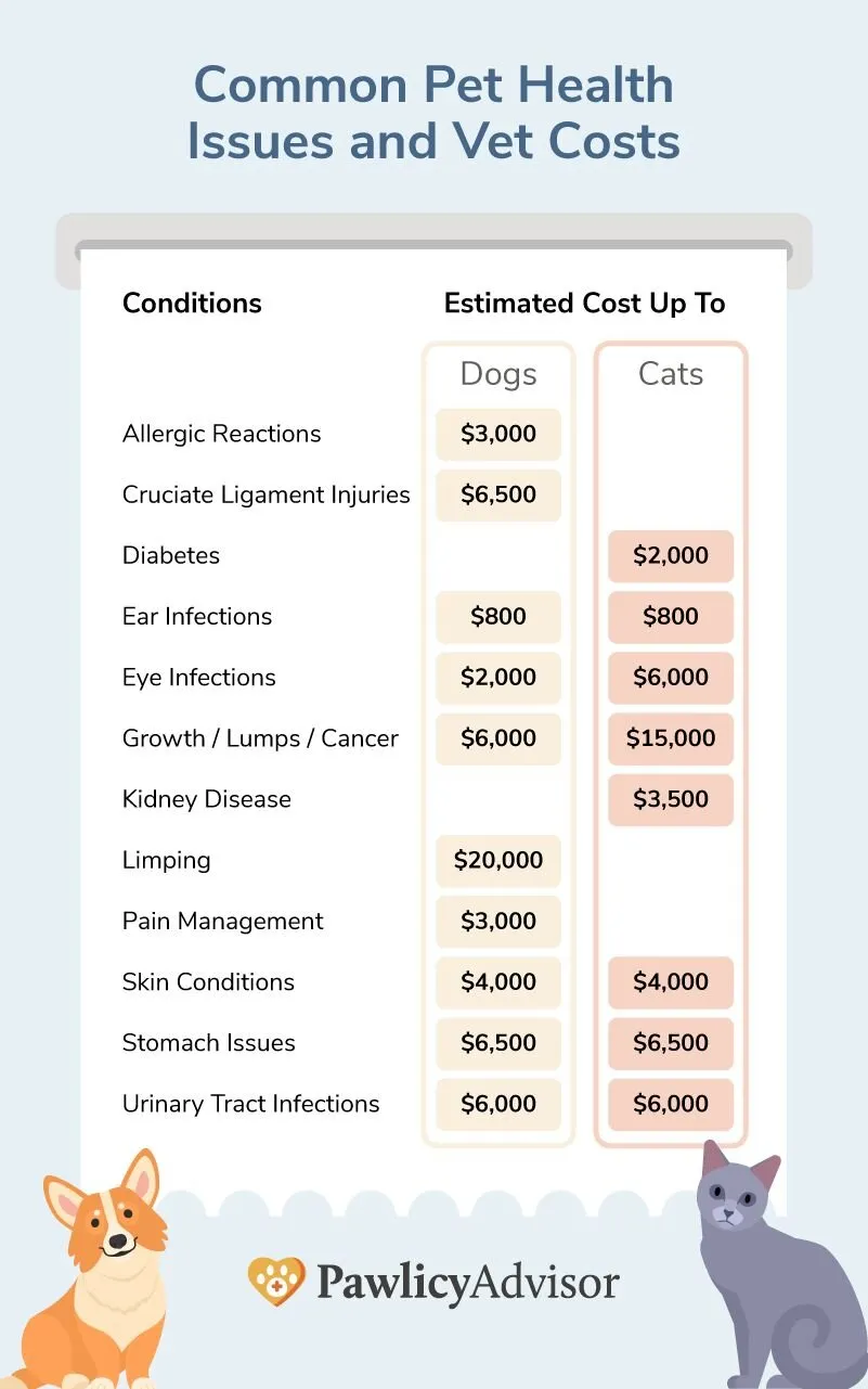 Common veterinary expenses visualized with a breakdown of typical costs for various pet care services