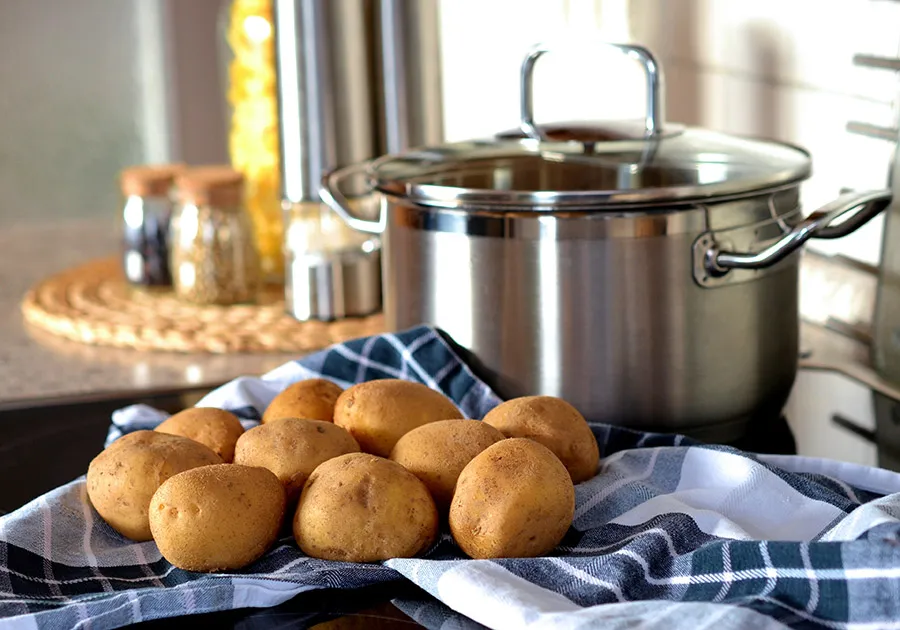 Alternative bland diet ingredients including boiled potatoes and lean meat