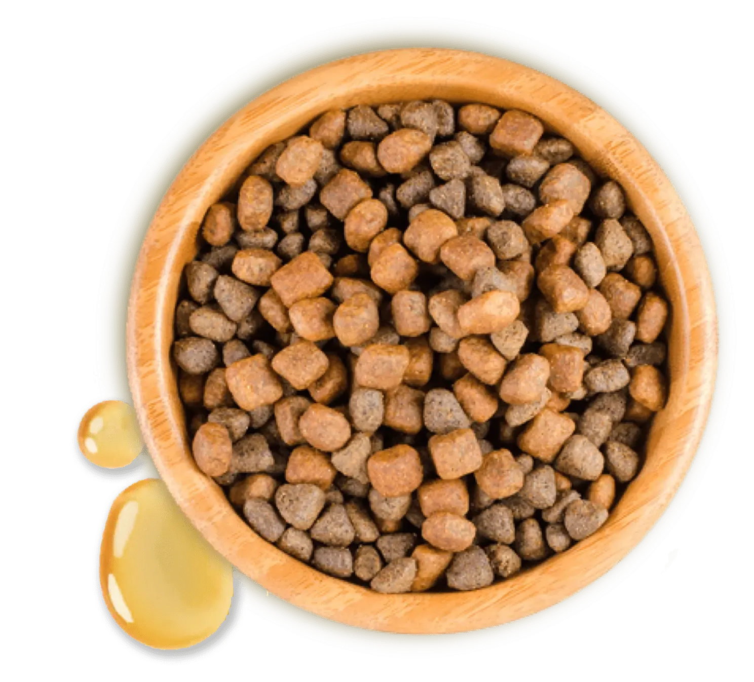 A pet food bowl filled with kibble, with a drizzle of omega oil.
