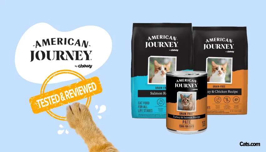 American Journey cat food product packaging showing dry and wet food options