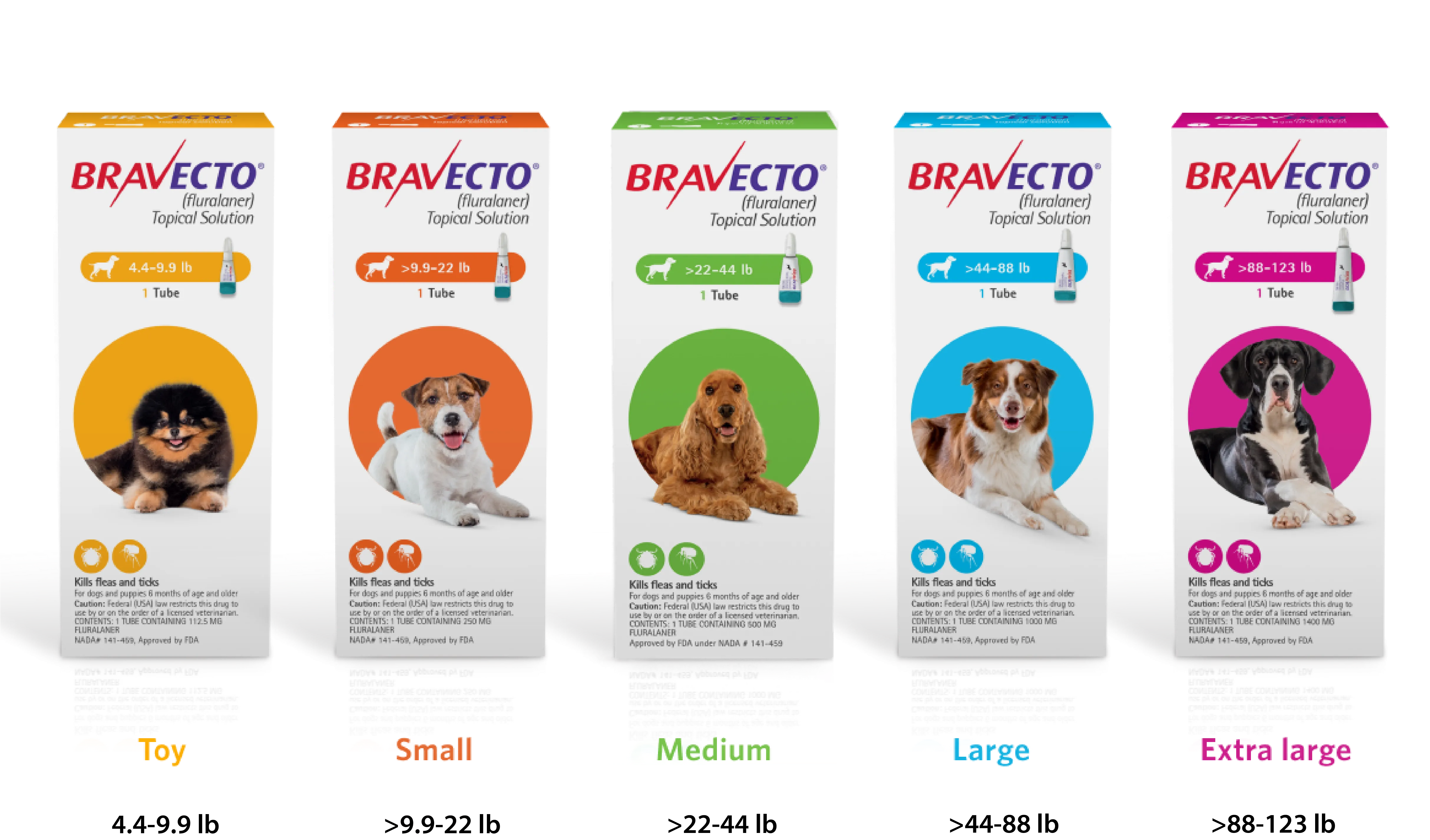 A dog receiving the topical application of BRAVECTO.