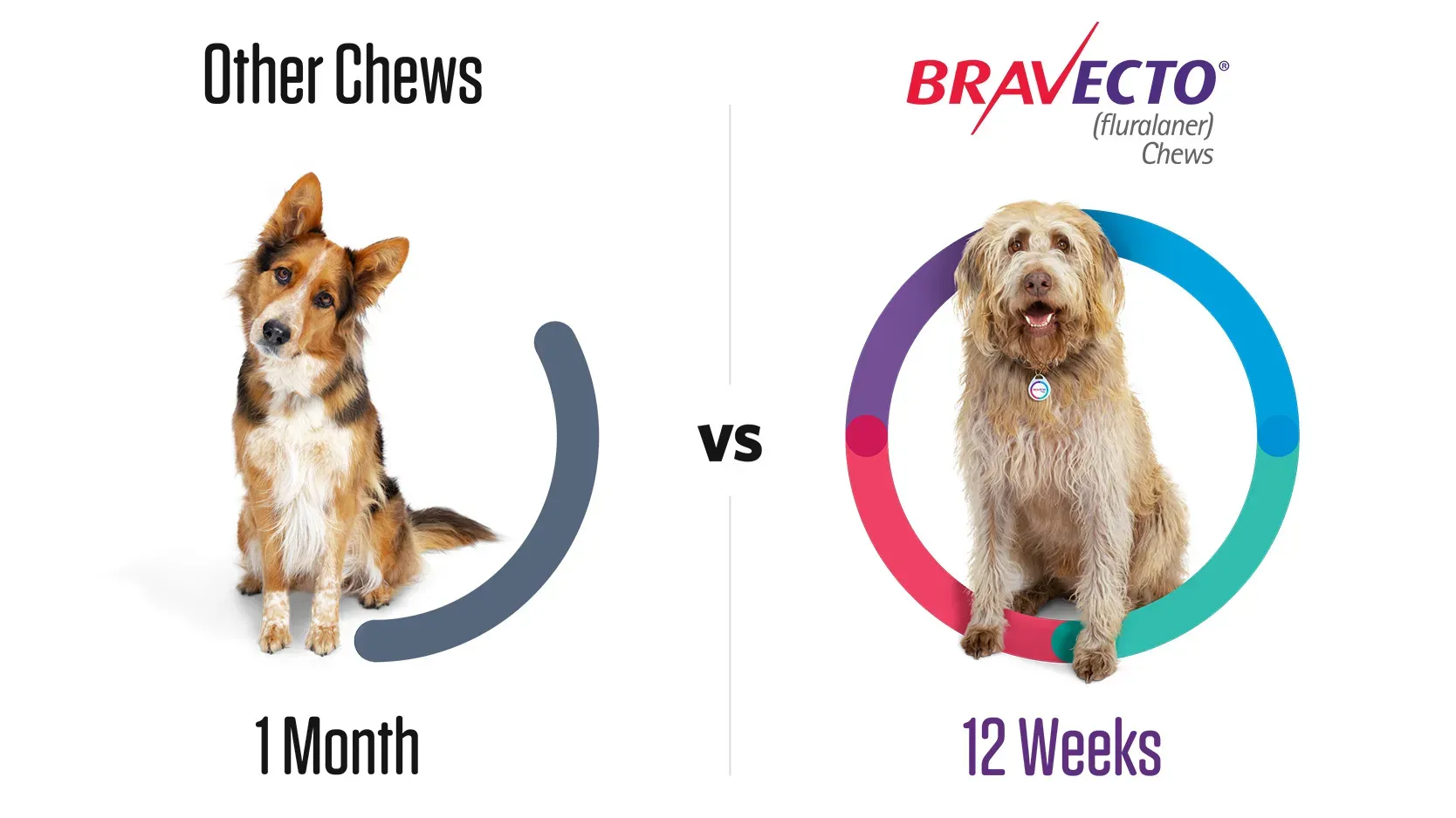 A graphic comparing BRAVECTO to monthly treatments.