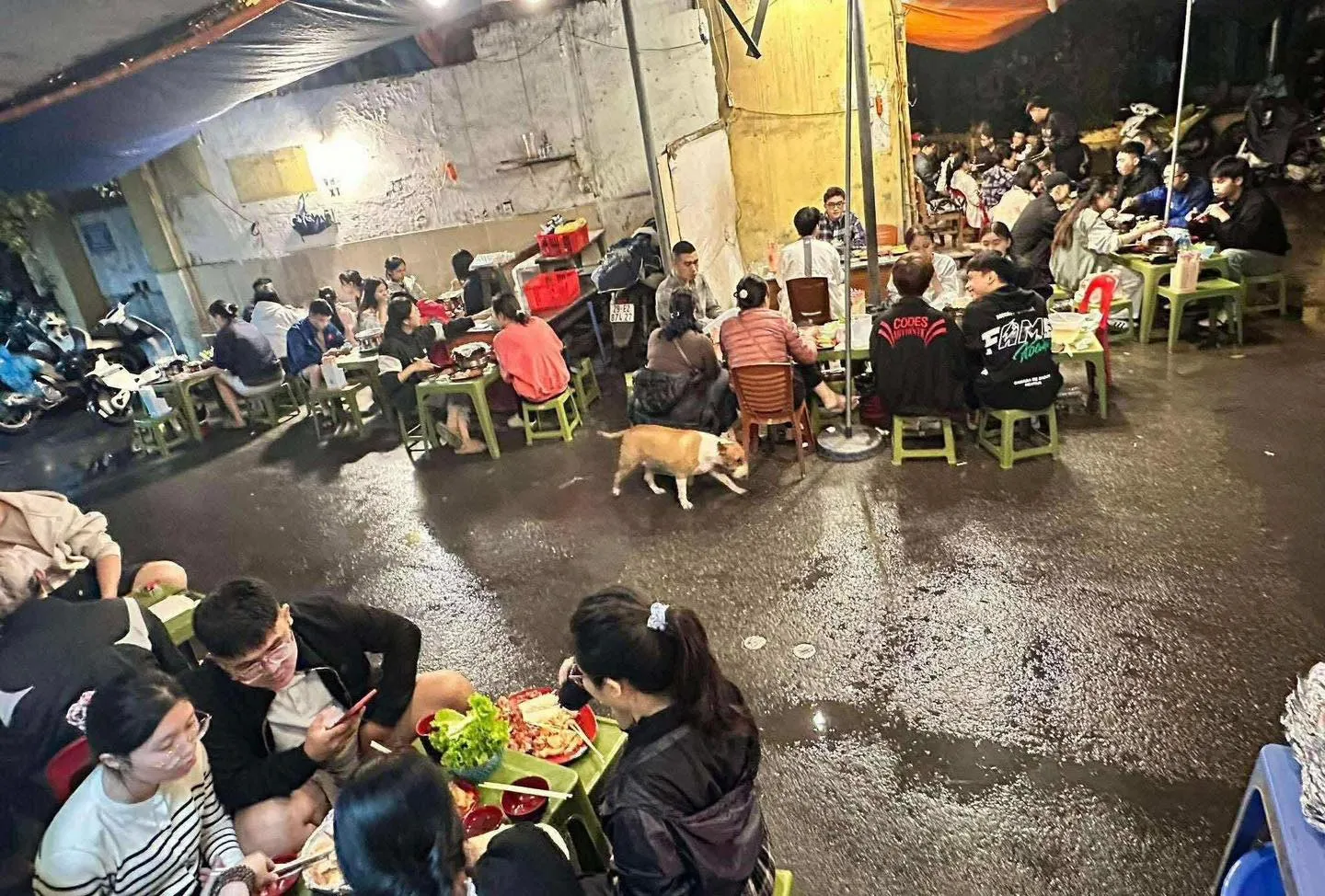 The restaurant owner interacts with Tam, who has become a major attraction for curious diners