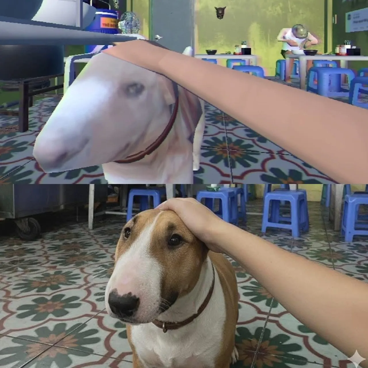 The iconic Bull Terrier named Tam, resembling the game character Mr. Gold, stands guard at a restaurant in Hanoi