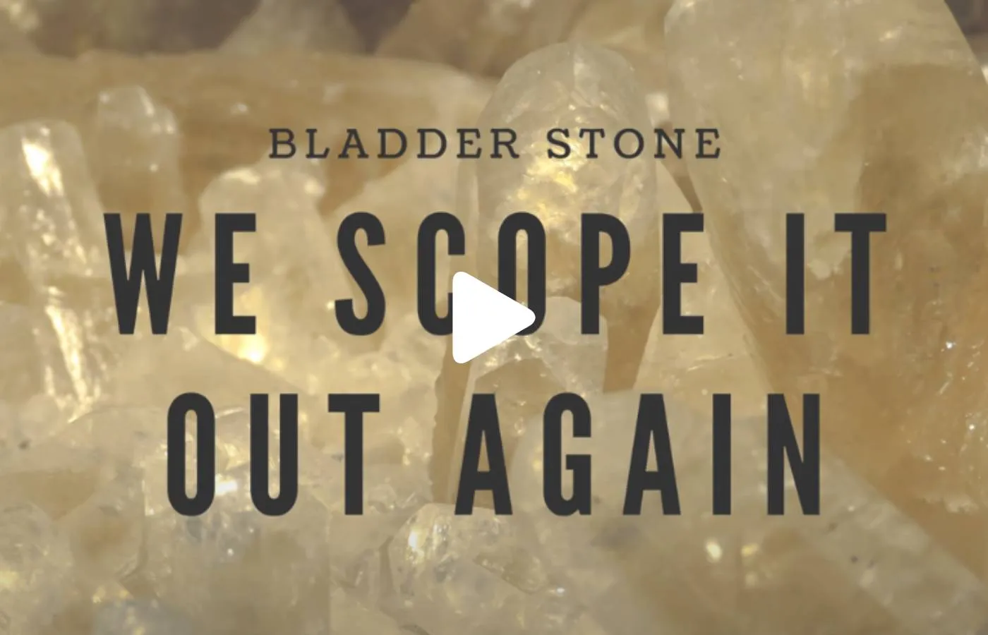 Close-up image of yellowish stones with overlaid text reading,
