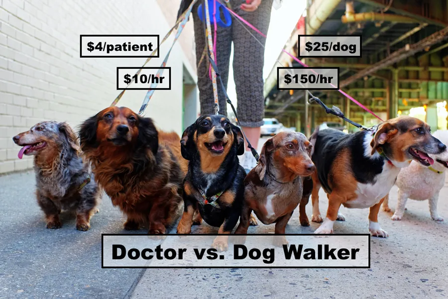 A doctor contemplating a career change with a dog in the foreground
