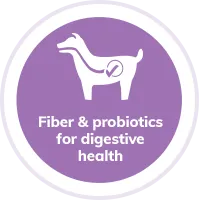 Dog digestive health illustration