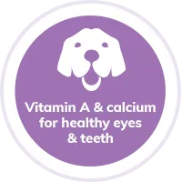 Dog healthy eyes and teeth illustration