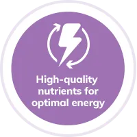 Dog nutrients and energy illustration