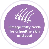 Dog omega fatty acids for skin and coat illustration