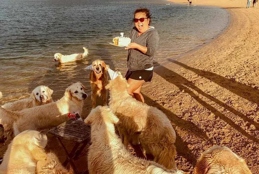 Dozer the golden retriever at his birthday party at Bayview beach surrounded by friends