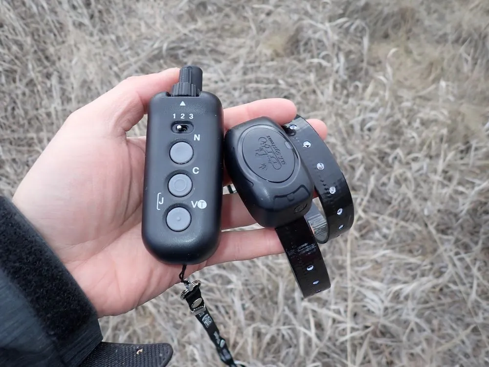 DT Systems DD700 E-Collar during testing