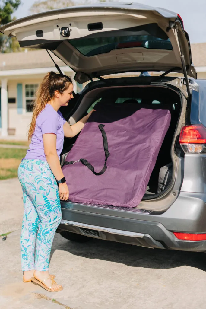 EliteField soft sided dog crate in a Subaru Forester