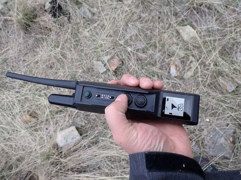 Garmin Pro 550 Plus during training collar testing