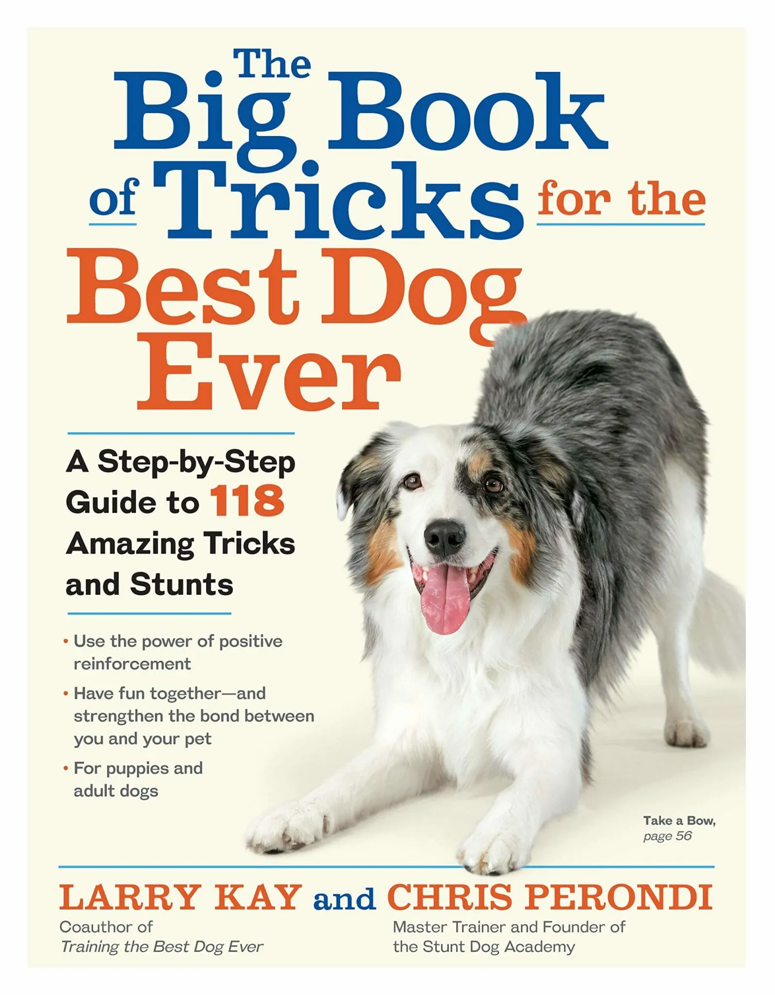 The front cover of The Big Book of Tricks for the Best Dog Ever by Larry Kay and Chris Perondi