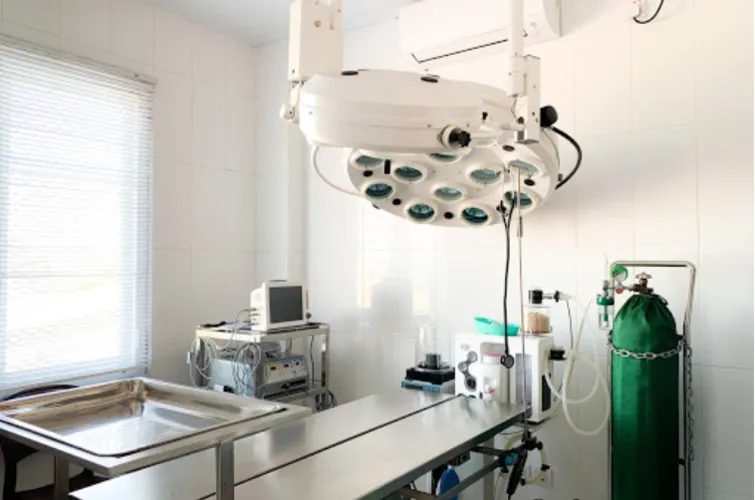 A spacious and clean dog boarding facility with individual kennels